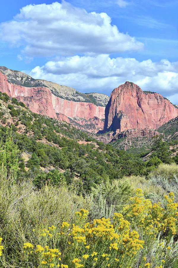 Kolob Canyons of Zion Photograph by Ray Mathis