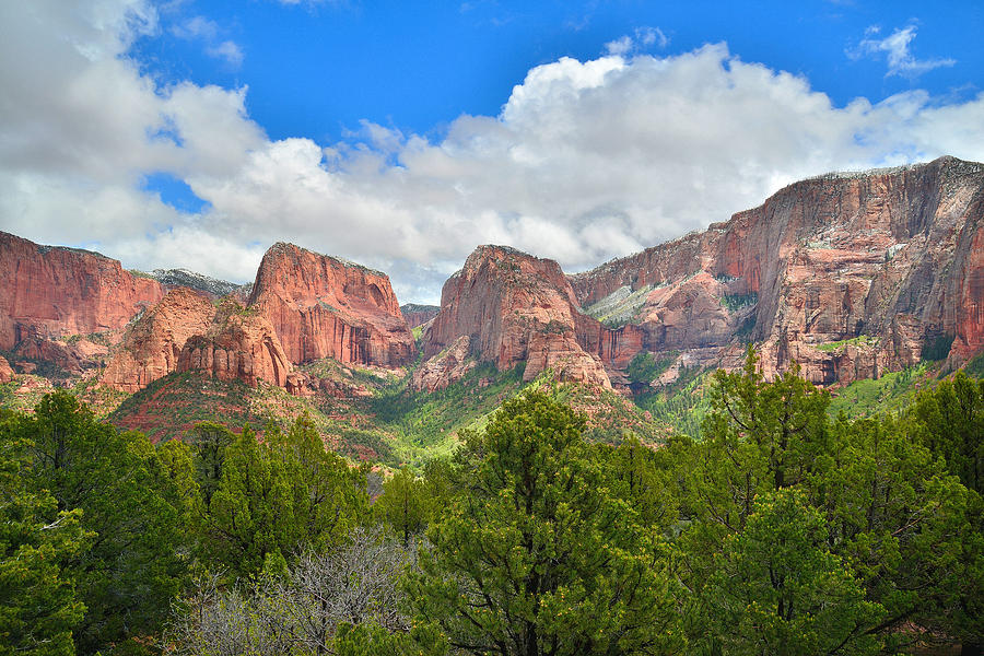 Zion National Park Photograph - Kolob Canyons by Ray Mathis