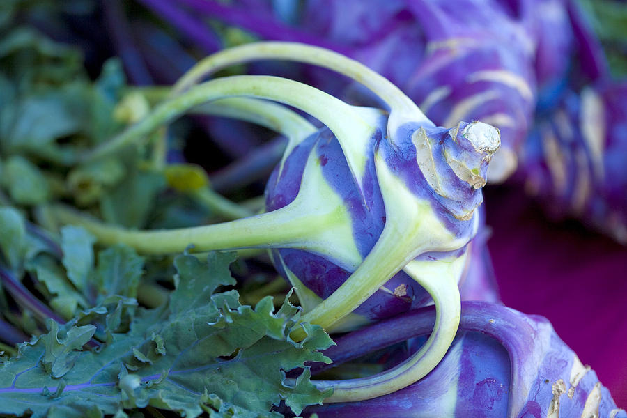 Kolrabi Cabbage Photograph by Marilyn Hunt
