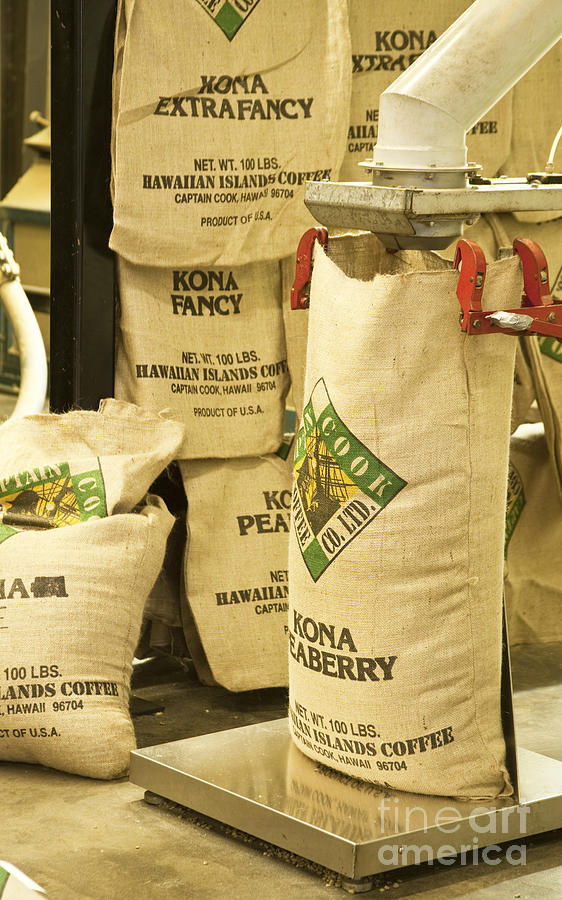 Kona Coffee Photograph by Inga Spence
