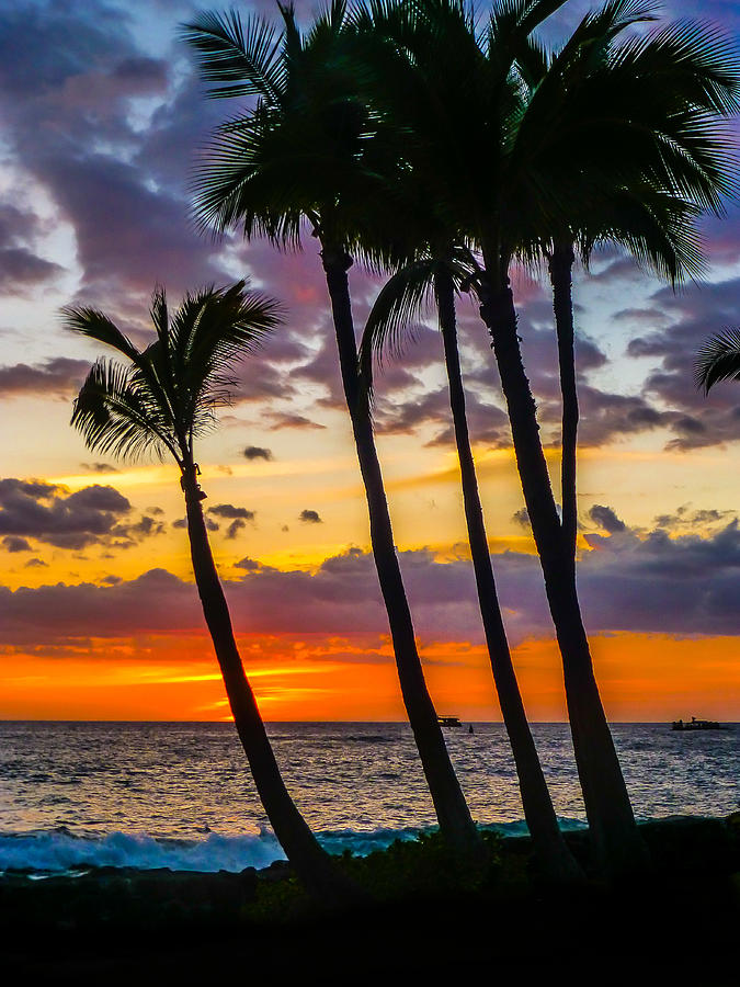 Sunset Photograph - Kona Dreams by Pamela Newcomb