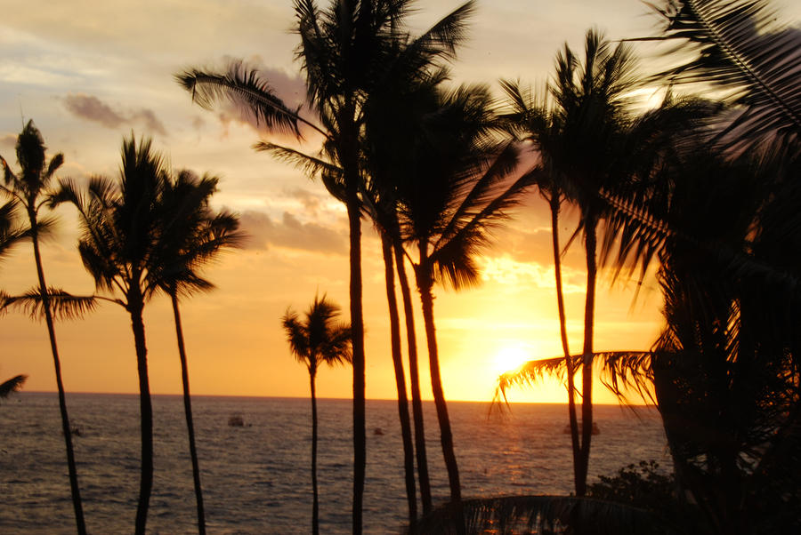 Kona Sunset Photograph by Paulette B Wright - Fine Art America