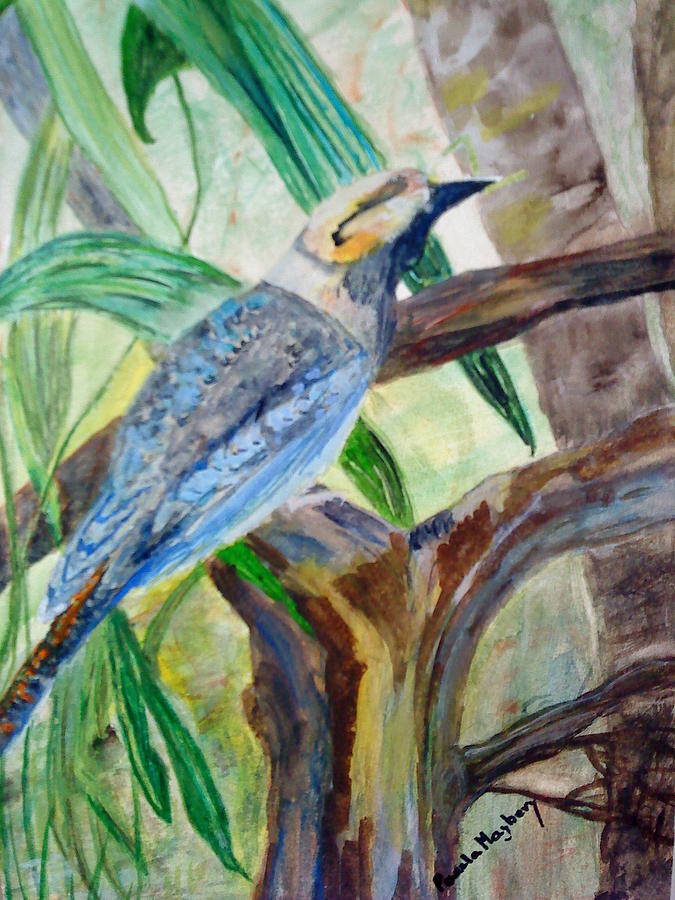 Kookaburra Dalcelo Leachii Painting by Paula Maybery