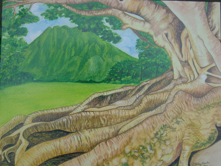 Paradise Painting - Koolau Banyan Tree in Hawaii by John Henry Martin