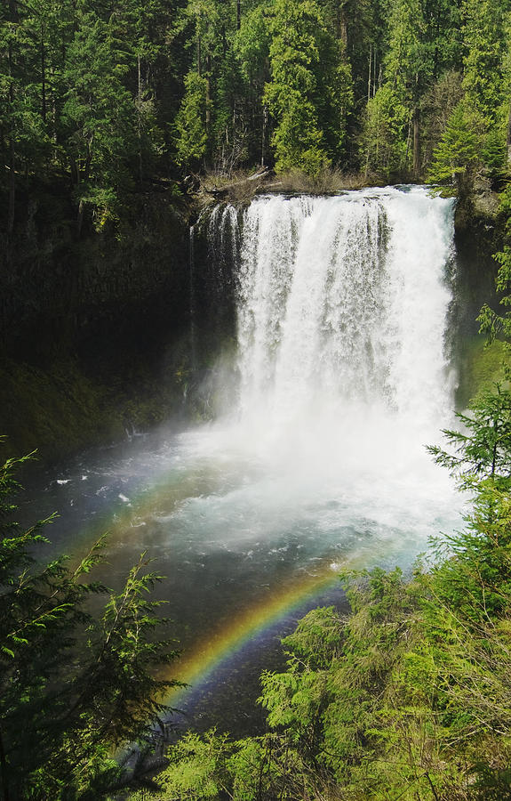 Koosah Falls - Oregon Photograph by Greg Vaughn - Printscapes