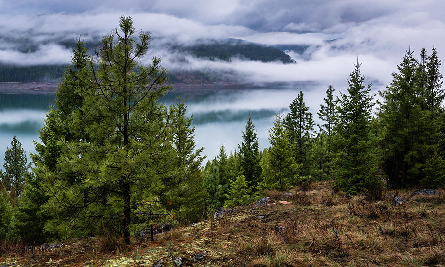 Kootenai Fog Photograph by Gary Migues