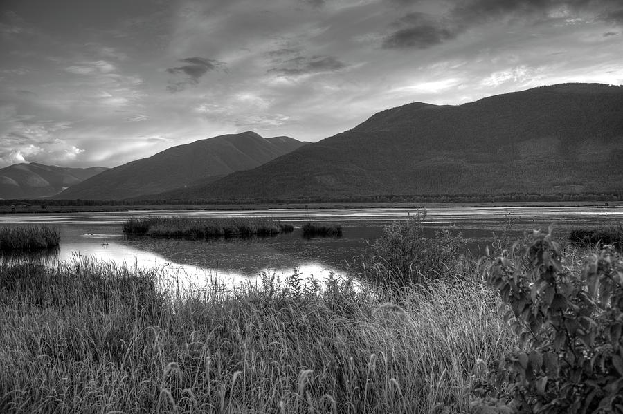 Kootenay Marshes In Black And White Photograph by Lawrence Christopher
