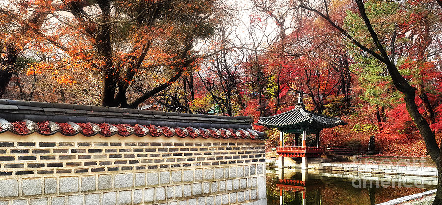 Nature Photograph - Korean Secret Garden in Fall by Matt Tilghman