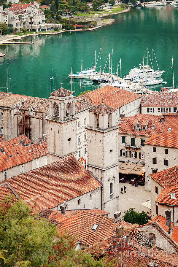 Kotor old town and harbor Photograph by Sophie McAulay