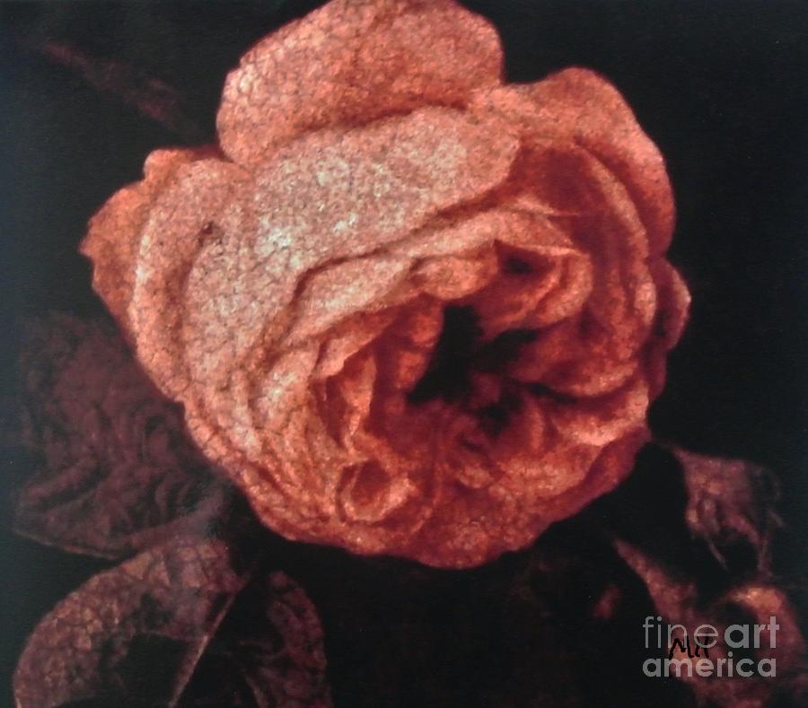 Kracklin Rose Photograph by Marsha Heiken