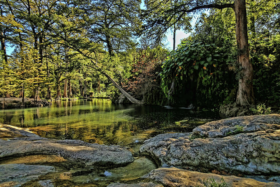Austin Photograph - Krause Springs Natural Pool by Judy Vincent