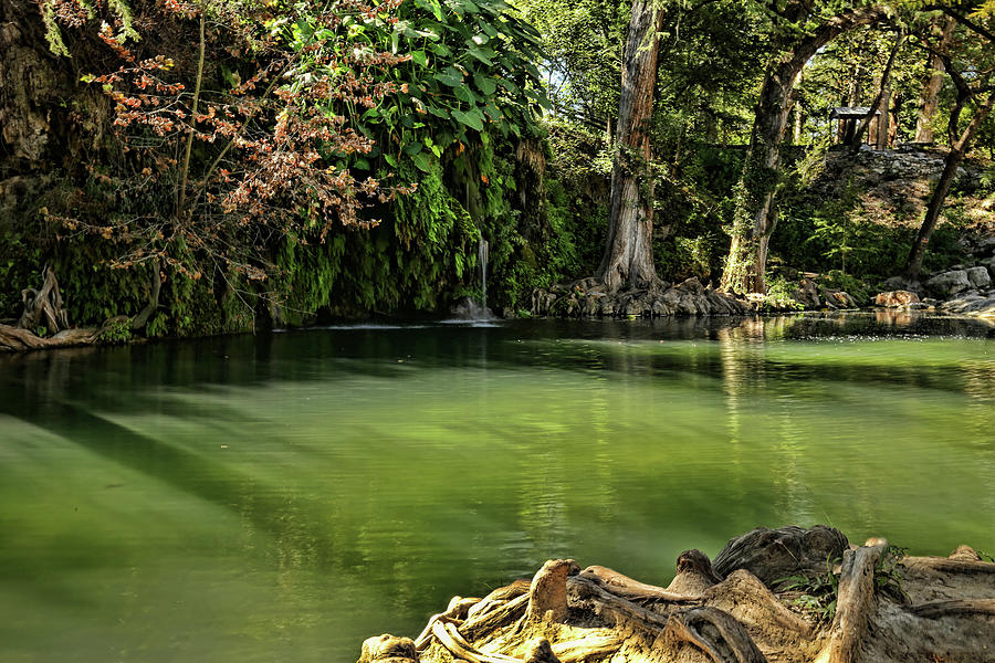 Krause Springs Spicewood Texas Photograph by Judy Vincent