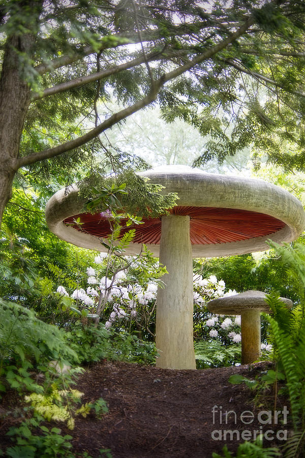 Krider Garden Mushroom Photograph by David Arment