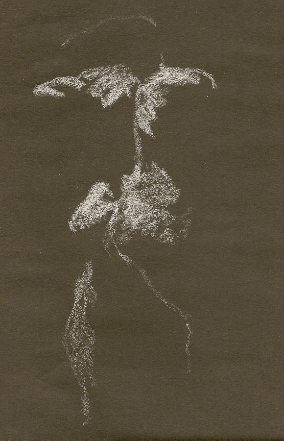 Kroki 1997, Pre.3 Vit Krita, Figure Drawing White Chalk Drawing by Marica Ohlsson