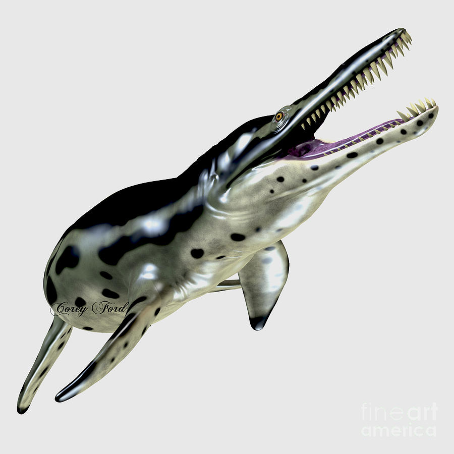 Kronosaurus Painting - Kronosaurus over White by Corey Ford Kronosaurus Painting - Kronosaurus over White by Corey Ford