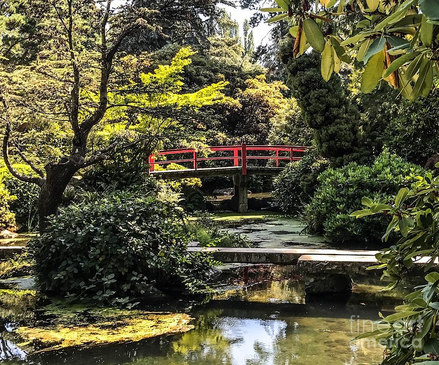 Kubota Gardens Photograph by William Wyckoff