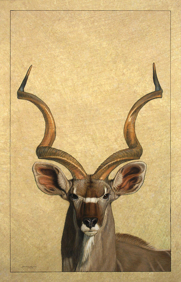 Kudu Painting - Kudu by James W Johnson