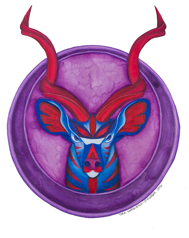 Animal Drawing - Kudu-tastic by Tara Warburton-Schwaber Animal Drawing - Kudu-tastic by Tara Warburton-Schwaber