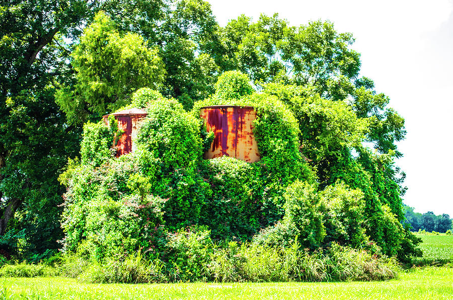 Kudzu Devouring Abandoned Silos, Mississippi Photograph by Deborah Smolinske