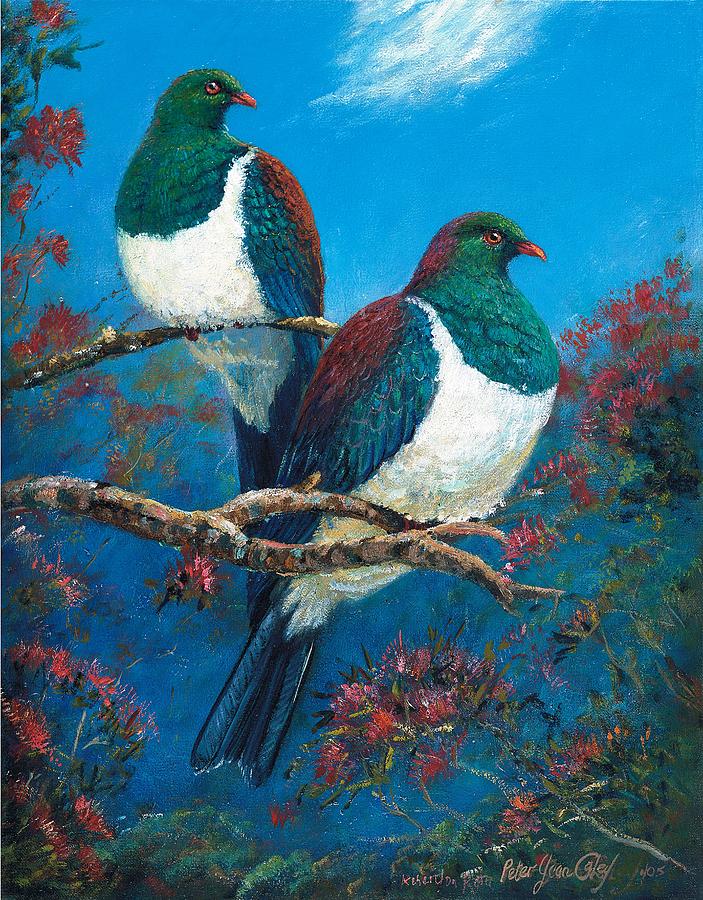 Bird Painting - Kukupa on Rata by Peter Jean Caley