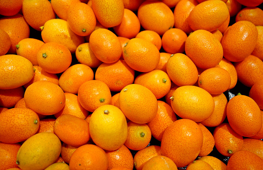 Kumquats Photograph by Robert Meyers-Lussier