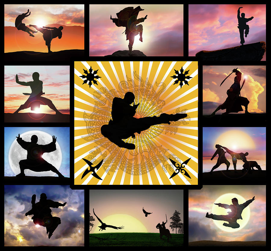 Kung Fu Collage Digital Art by Brian Wallace