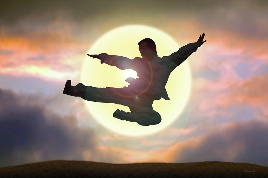 Kung Fu Leap Digital Art by Brian Wallace