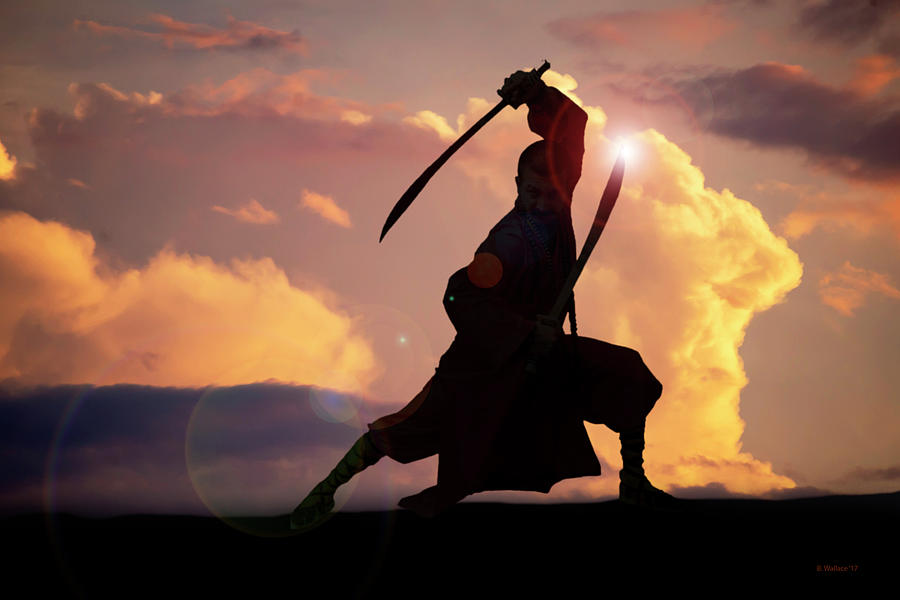 Kung Fu Swords - Silhouette Digital Art by Brian Wallace