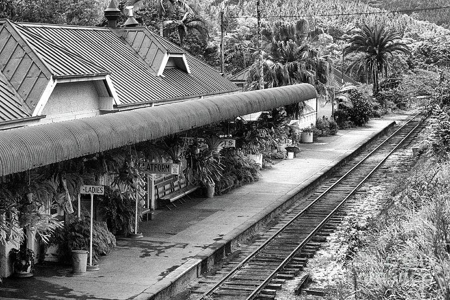 Kuranda Station 01 Photograph by Rick Piper Photography