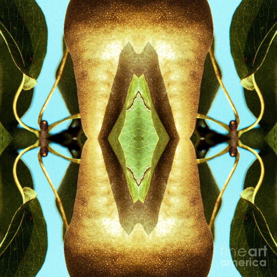 Flower Mixed Media - KV5 by Writermore Arts Flower Mixed Media - KV5 by Writermore Arts