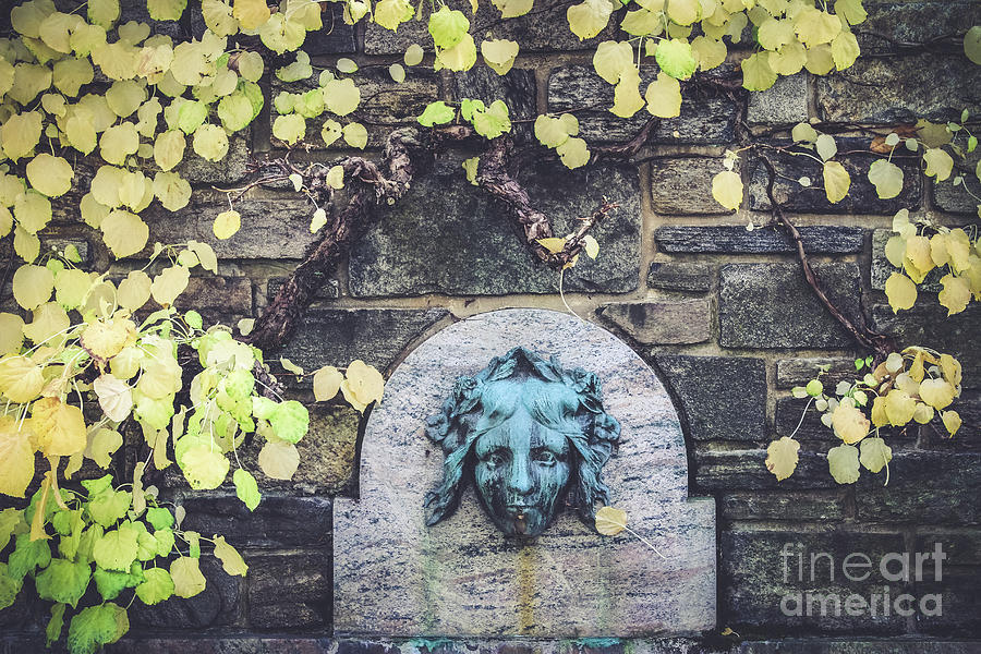 Kykuit Wall Fountain Photograph by Colleen Kammerer