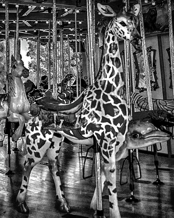L A Zoo Carousel B W Photograph by Joseph Hollingsworth