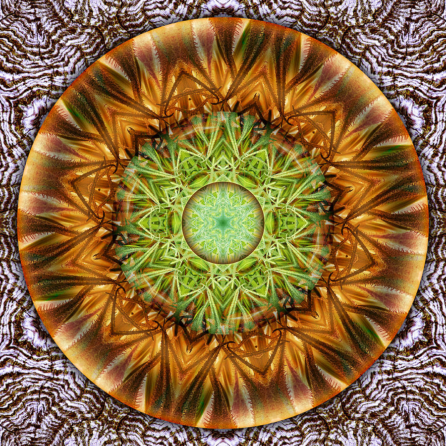 Autumnal Equinox Digital Art by Becky Titus