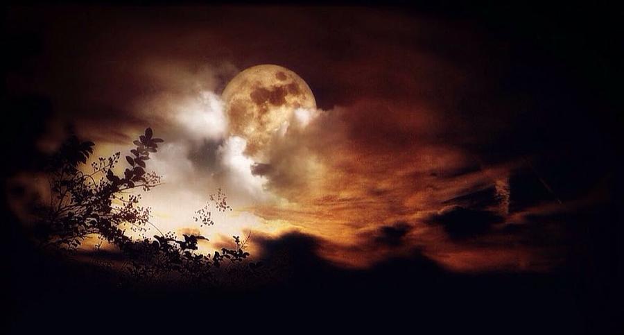 La Bella Luna Photograph by Jill Terry - Fine Art America