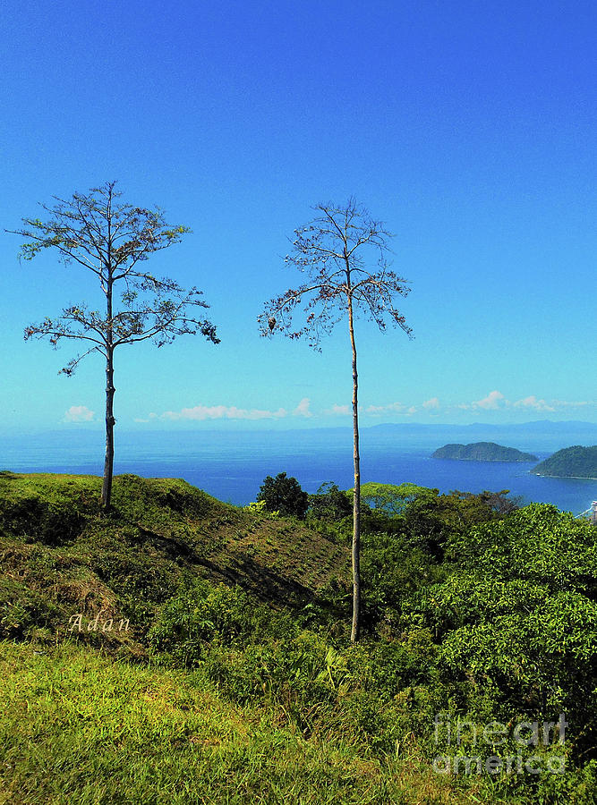 la Casita Playa Hermosa Puntarenas Costa Rica - Lost on Parrot Hill Vertical Photograph by Felipe Adan Lerma