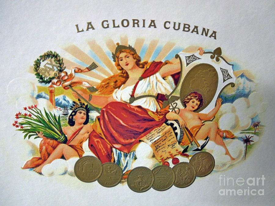 La Gloria Cubana Photograph by Renee Trenholm