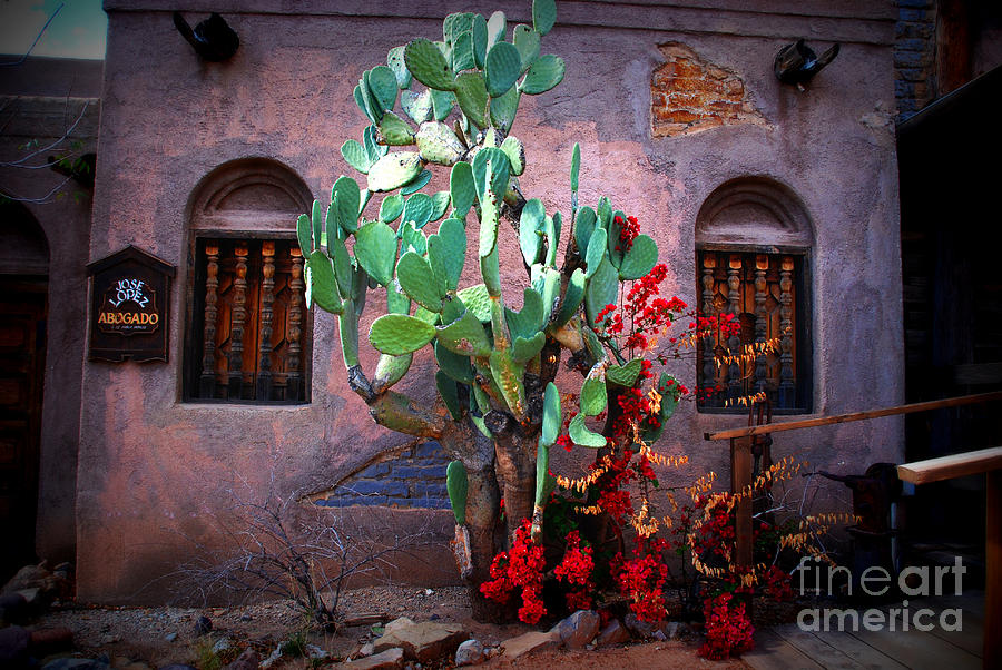 Flower Photograph - La Hacienda in Old Tuscon AZ by Susanne Van Hulst