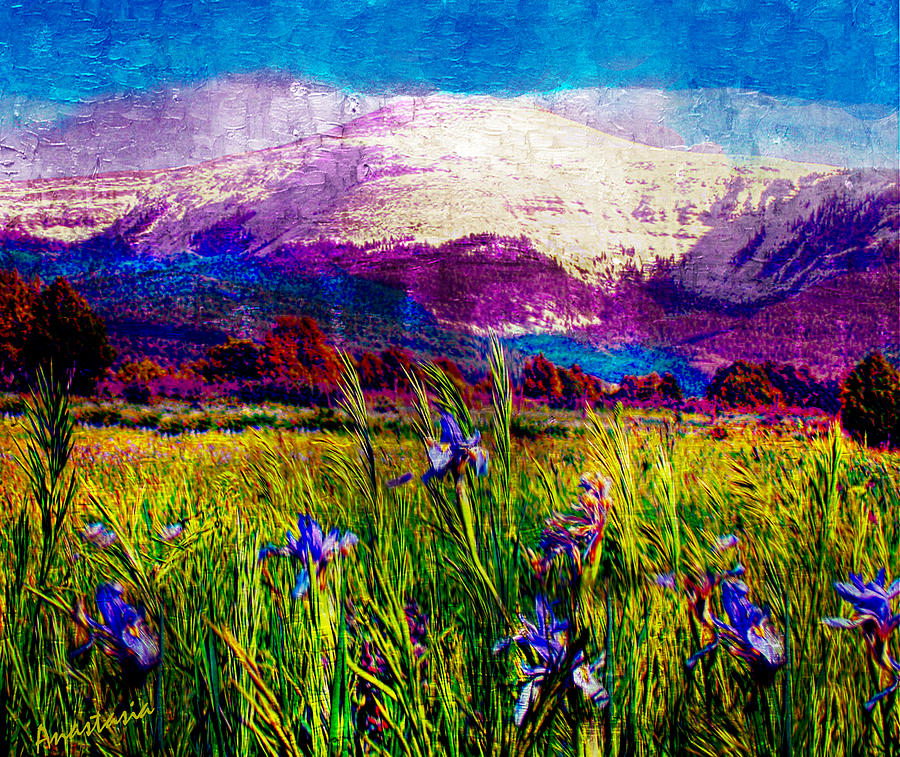 La Jicarita Peak and Wild Irises Photograph by Anastasia Savage Ealy