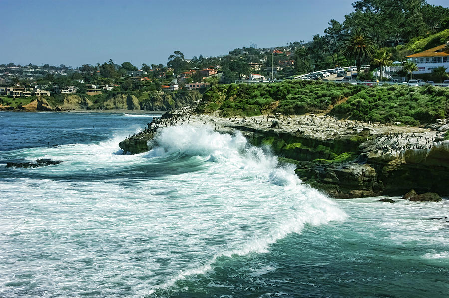 La Jolla California - Pacific Ocean Power Shaping the Coast Painting by Georgia Mizuleva