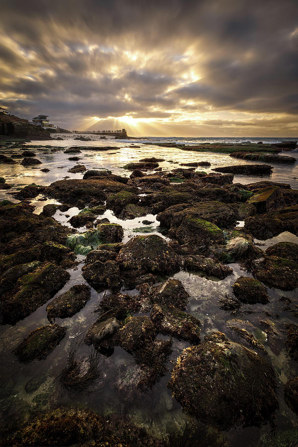 La Jolla Cove Photograph By Fred Gramoso - Fine Art America