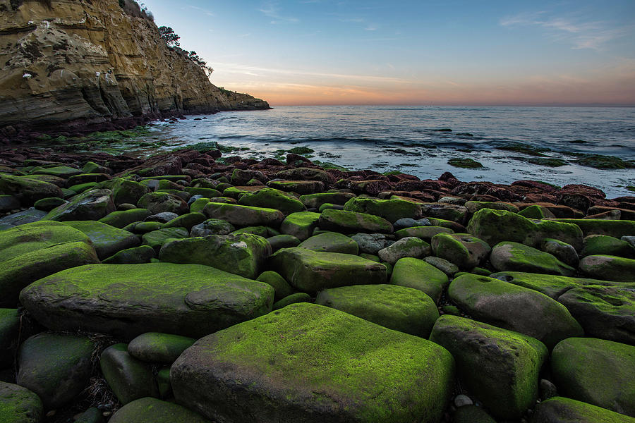 La Jolla Cove Mossy Rocks Sunset Photograph by Scott Cunningham