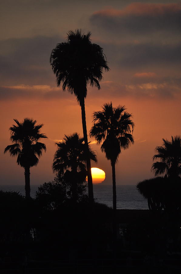 La Jolla Sunset Photograph by Bridgette Gomes