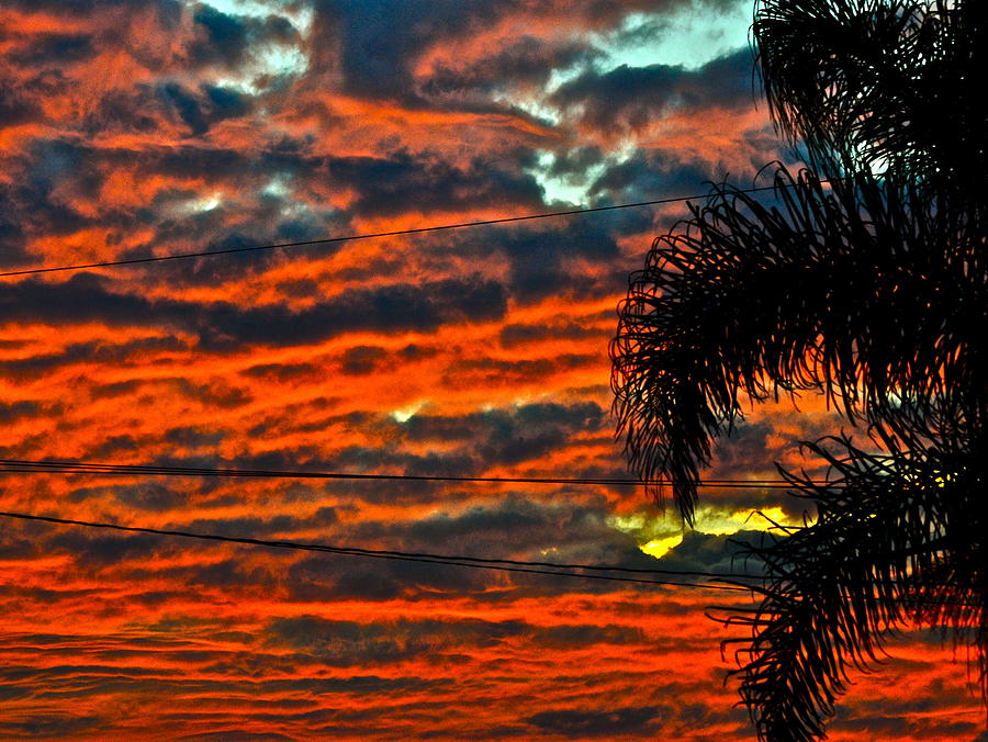 LA Neighborhood Sunset Photograph by Gwyn Newcombe