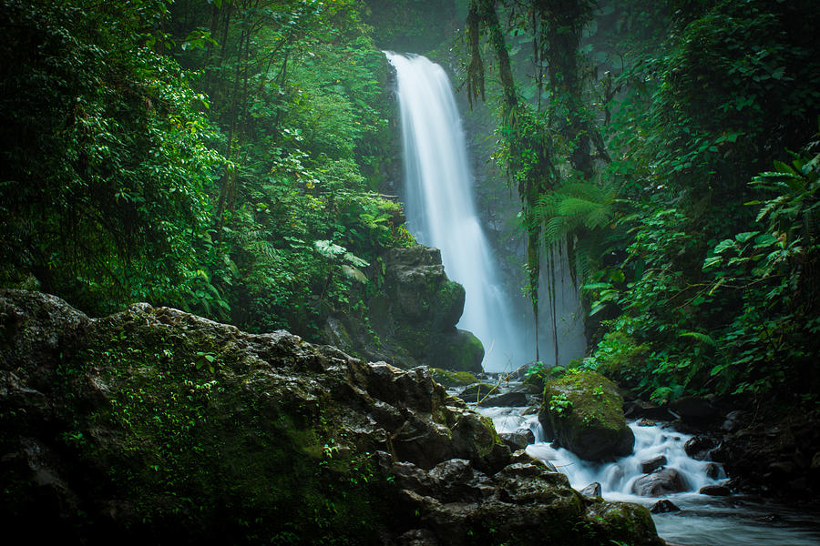 Nature Photograph - La Paz waterfall Costa Rica by RC Pics