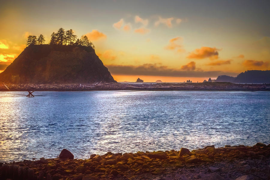 La Push 1st Beach Forks Washington Photograph by Marci Potts