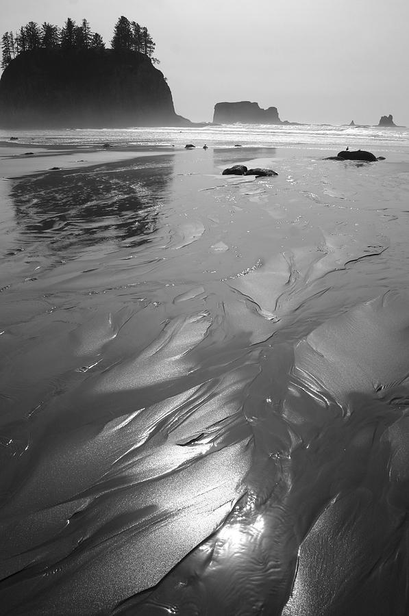 Beach Photograph - La Push by Karla DeCamp