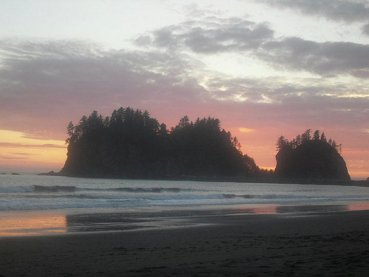 La Push Wa Photograph by Shanan Hilliary - Fine Art America