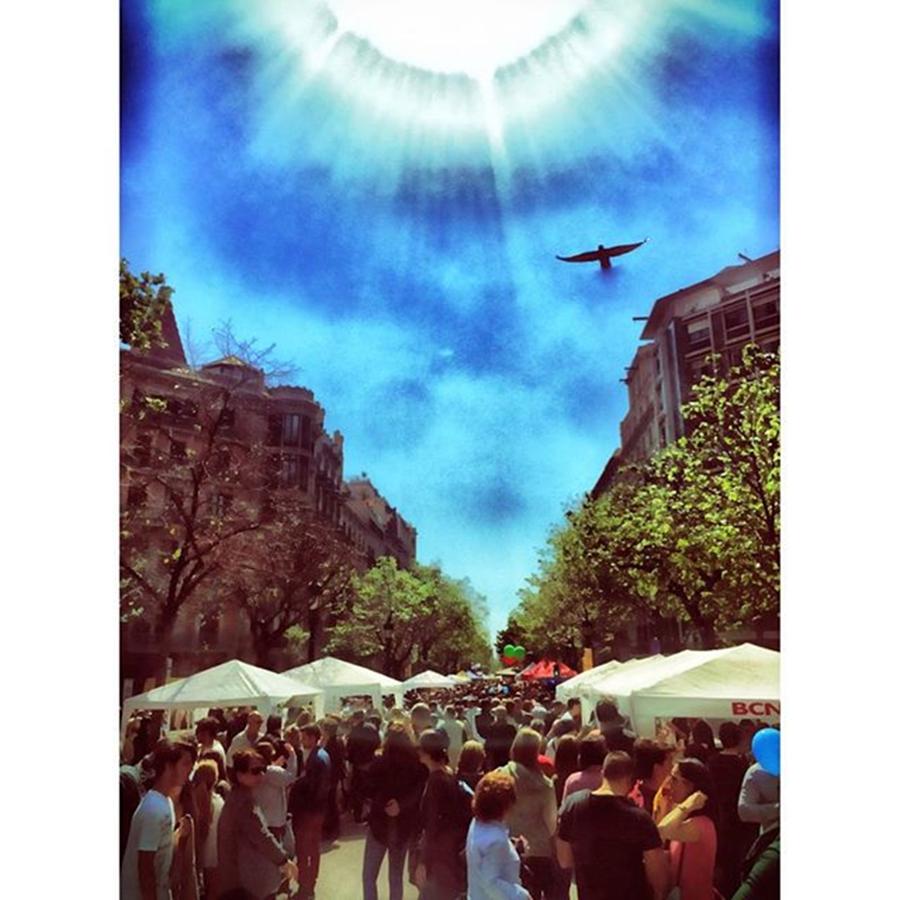 La Rambla Today - The Day Of The Book Photograph by Jaime Grego-Mayor