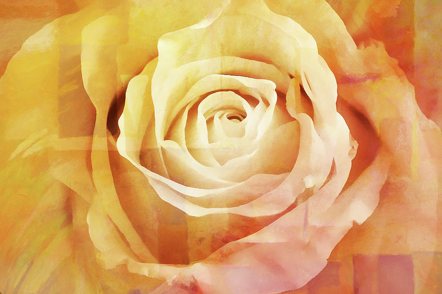 Rose Painting - La Rose by Lutz Baar