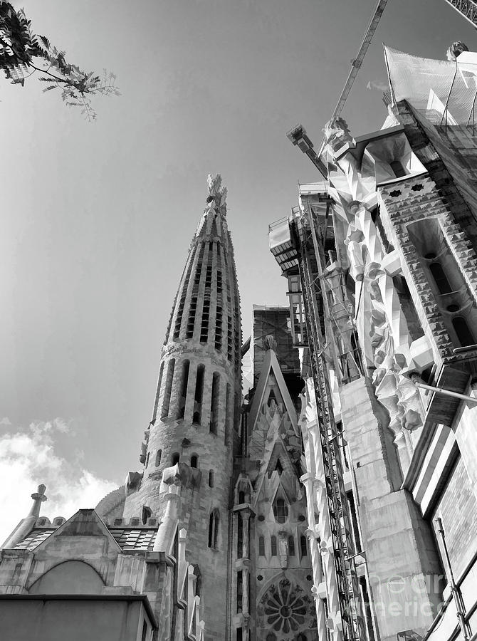La Sagrada Families Gaudis Gothic Church Black White  Photograph by Chuck Kuhn